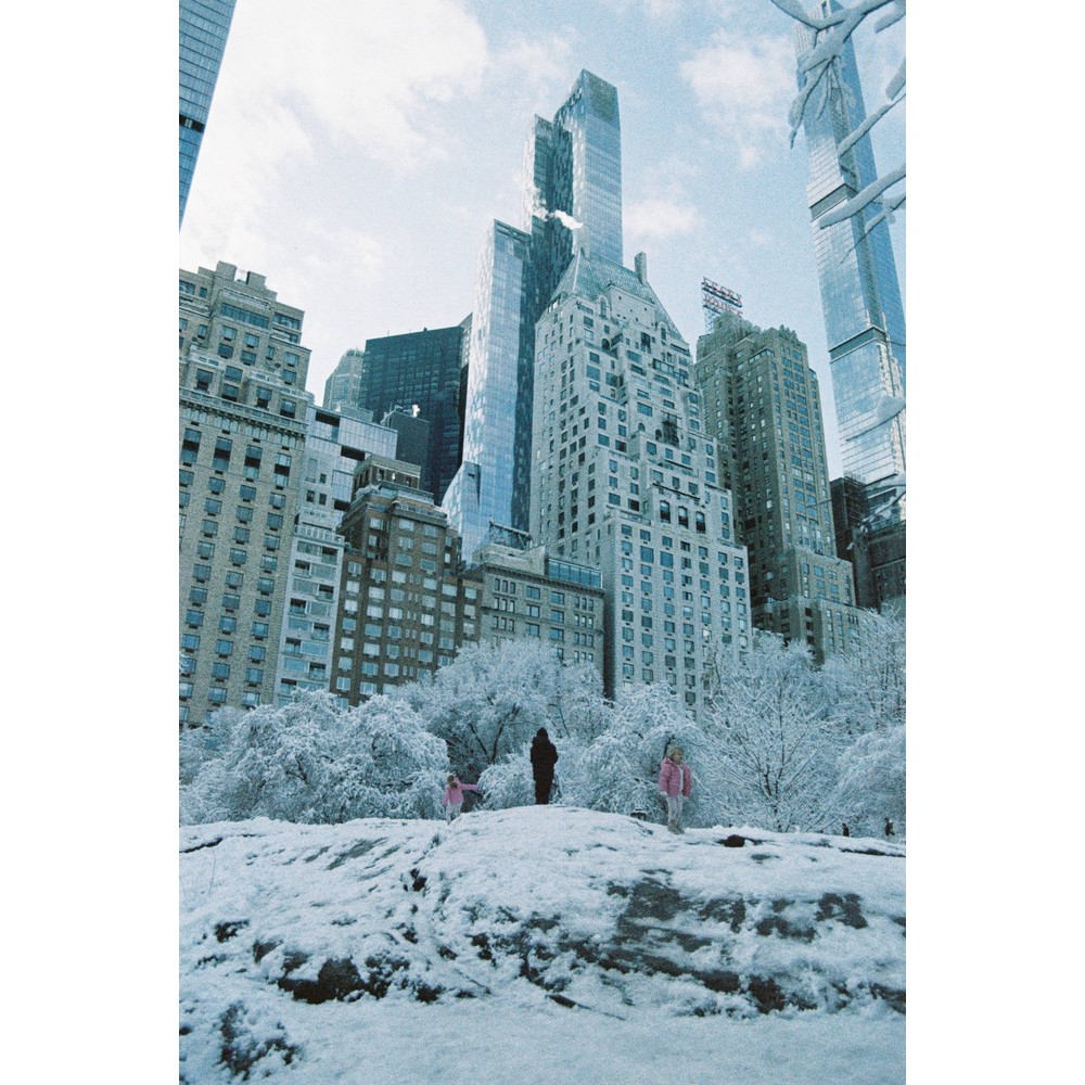 Film photograph 4 from the 2025 portfolio