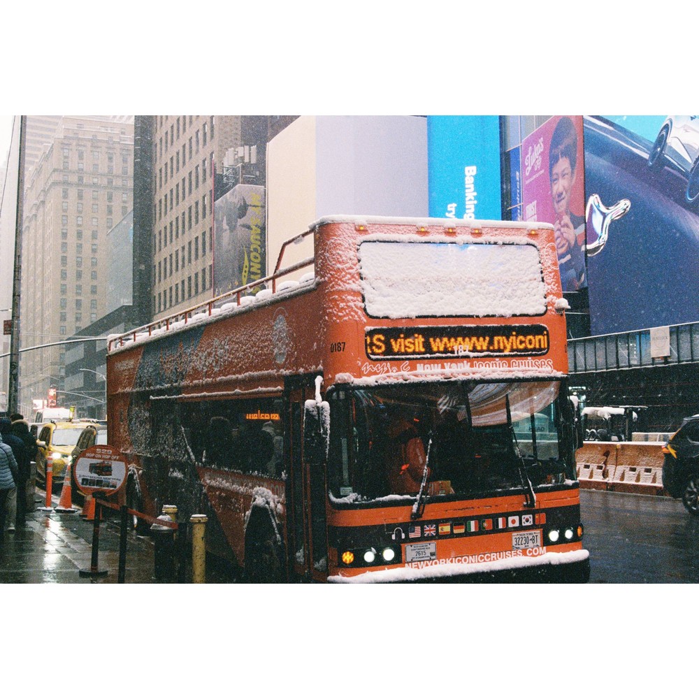 Film photograph 7 from the 2025 portfolio