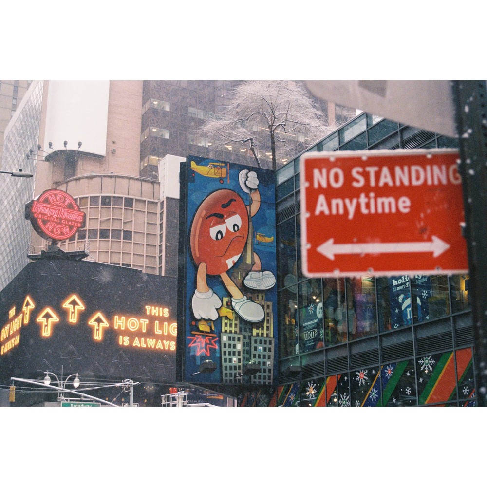 Film photograph 8 from the 2025 portfolio