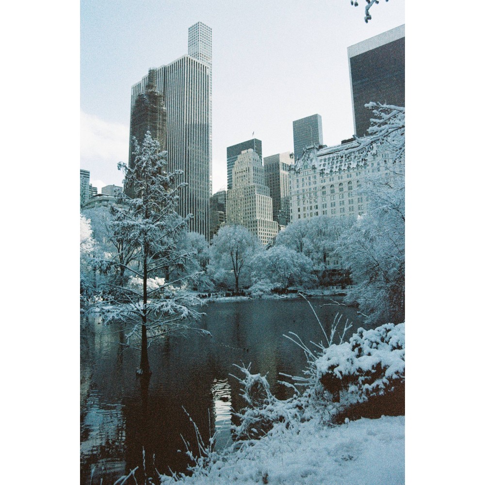 Film photograph 12 from the 2025 portfolio