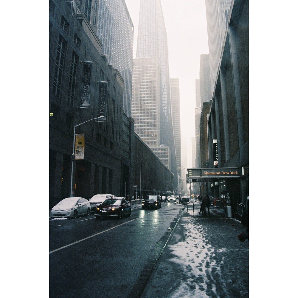 Film photograph 13 from the 2025 portfolio