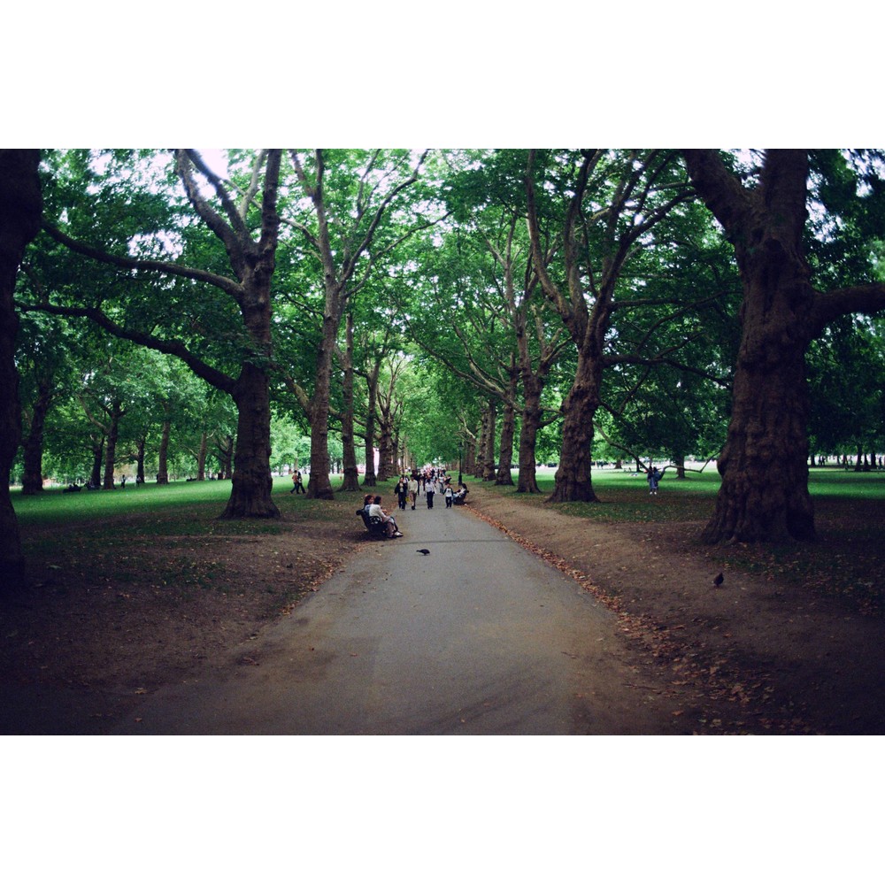 Film photograph 38 from the 2025 portfolio