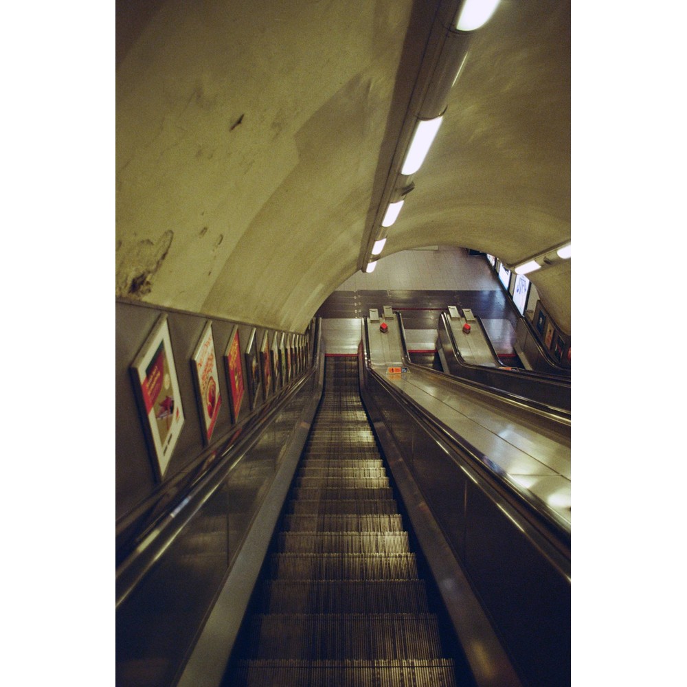 Film photograph 43 from the 2025 portfolio