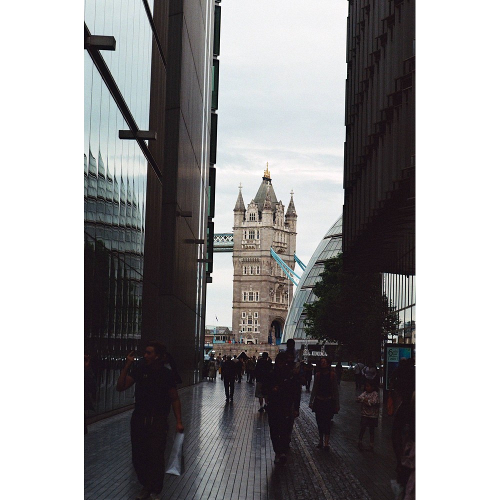 Film photograph 44 from the 2025 portfolio