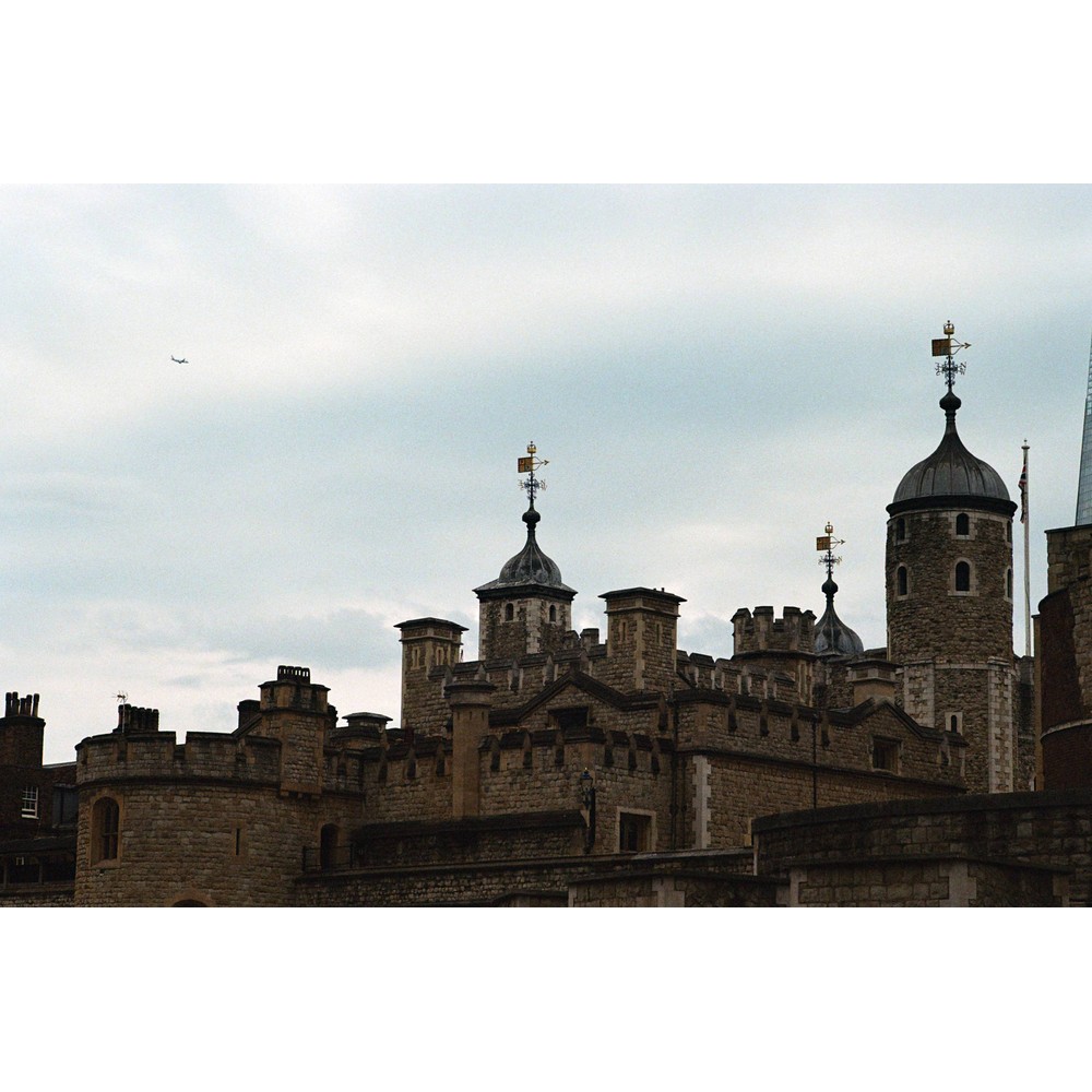 Film photograph 47 from the 2025 portfolio