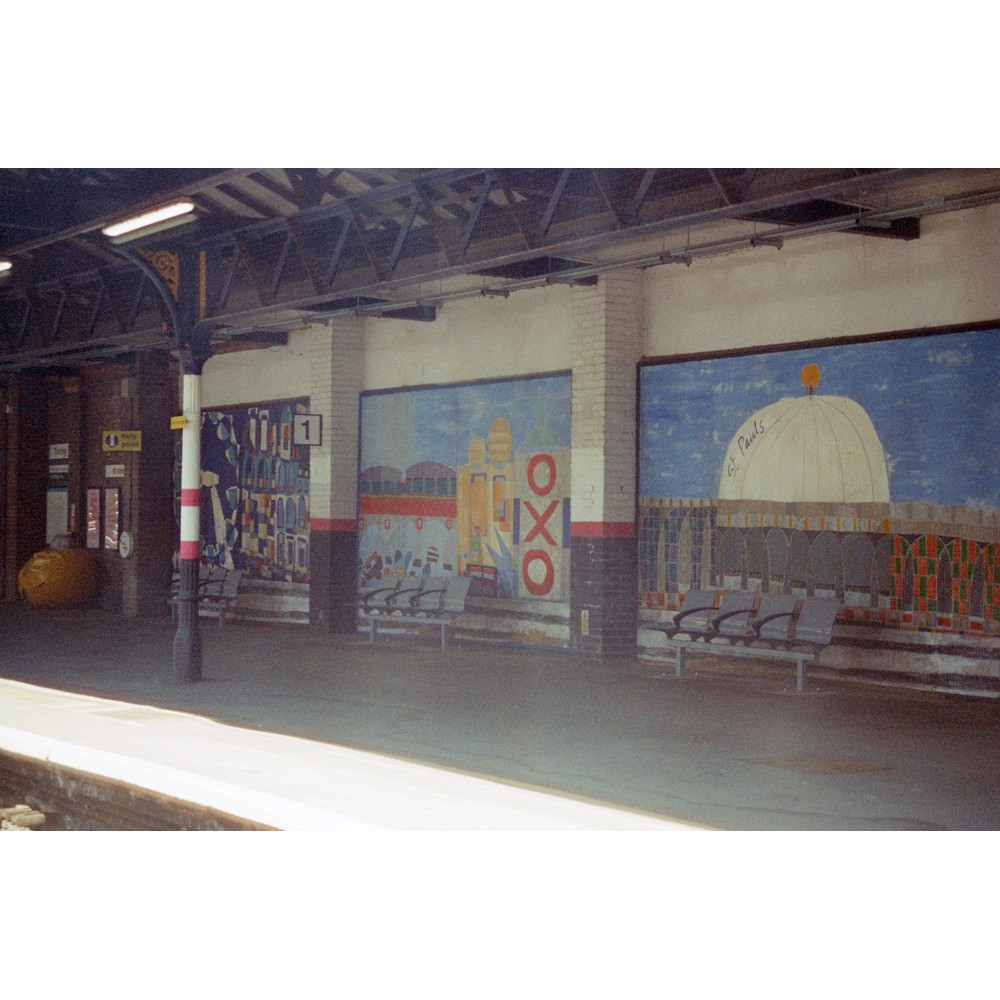 Film photograph 60 from the 2025 portfolio