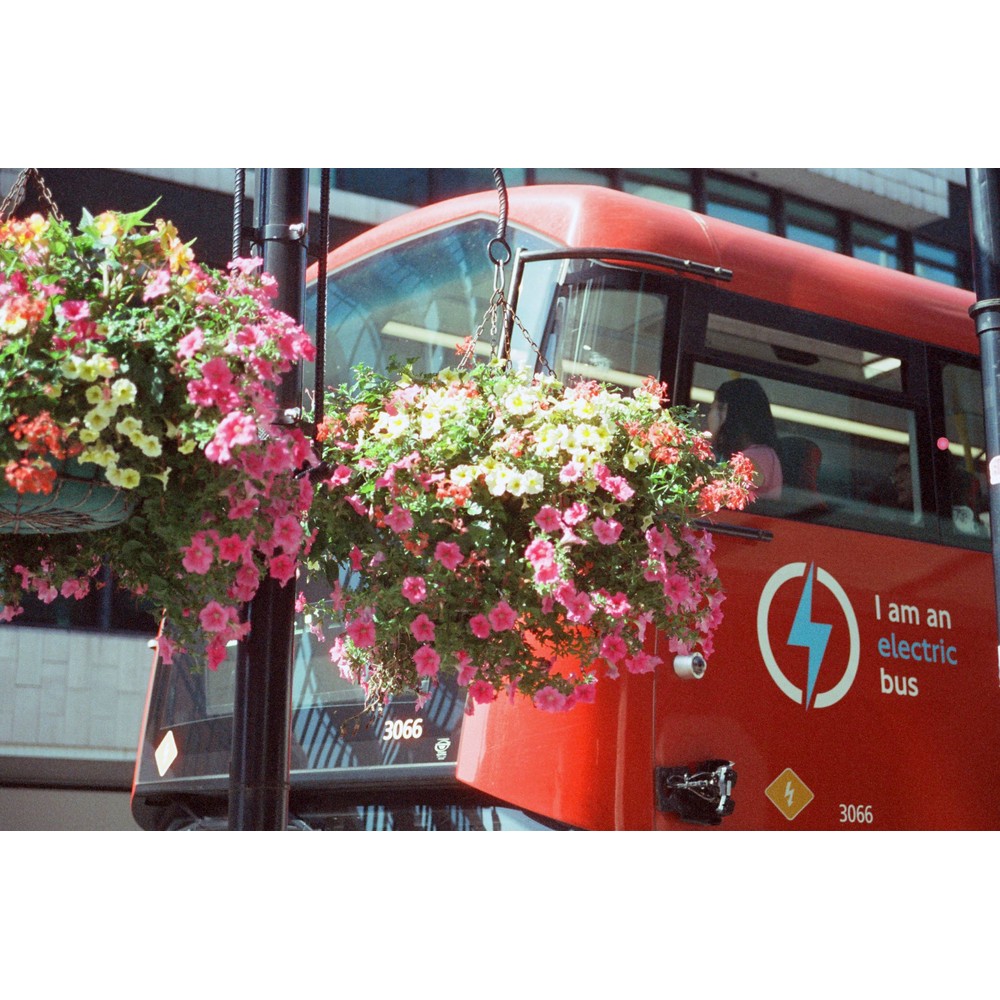 Film photograph 65 from the 2025 portfolio