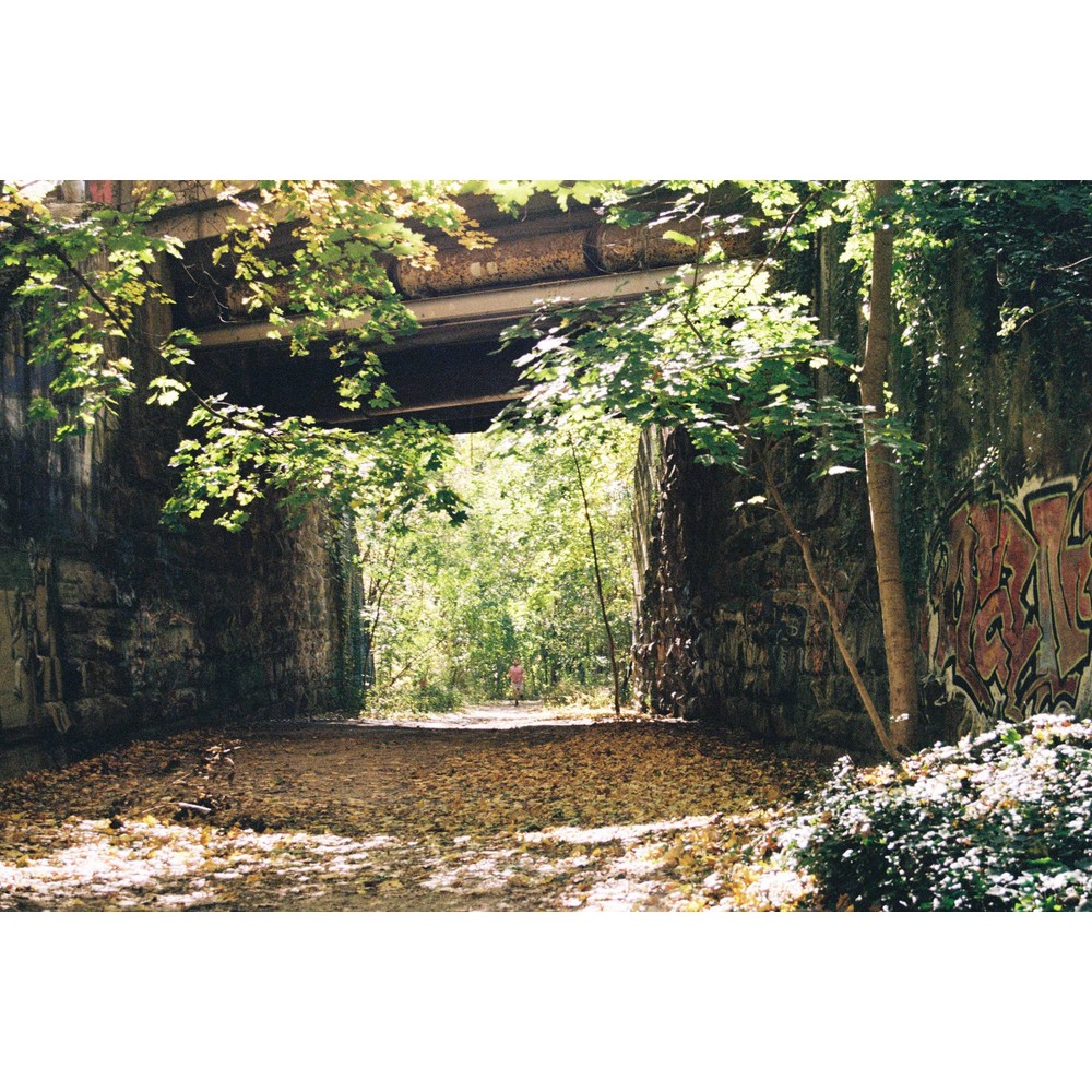 Film photograph 69 from the 2025 portfolio