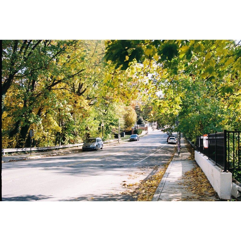 Film photograph 77 from the 2025 portfolio