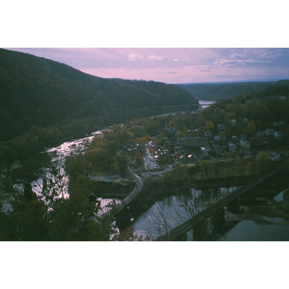 Film photograph 81 from the 2025 portfolio