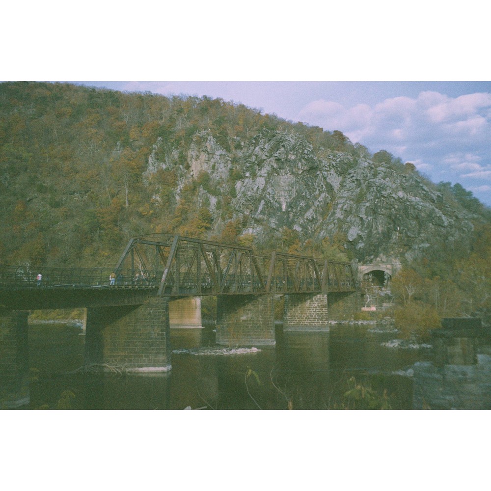 Film photograph 82 from the 2025 portfolio