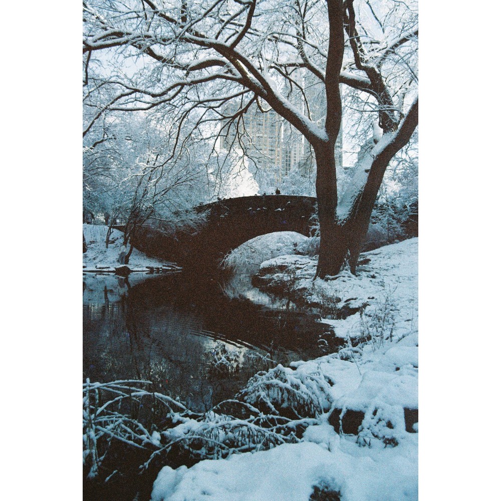 Film photograph 84 from the 2025 portfolio