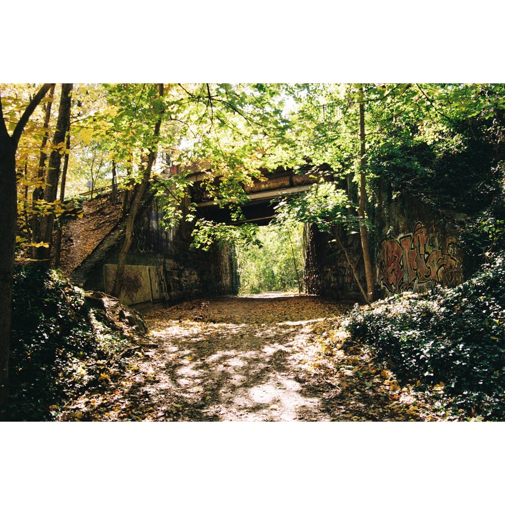 Film photograph 85 from the 2025 portfolio