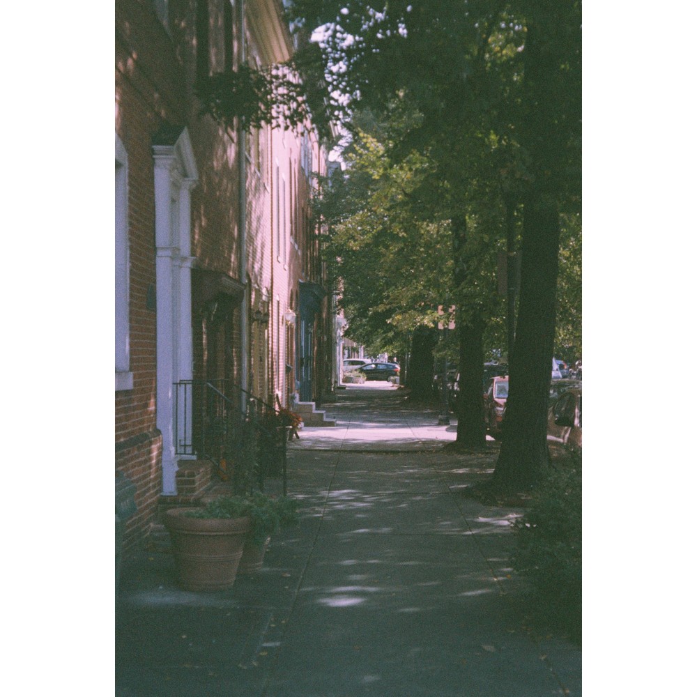 Film photograph 86 from the 2025 portfolio