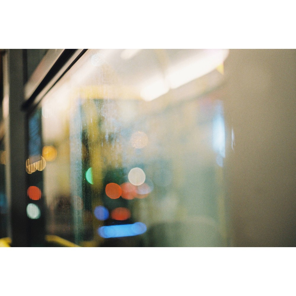 Film photograph 87 from the 2025 portfolio