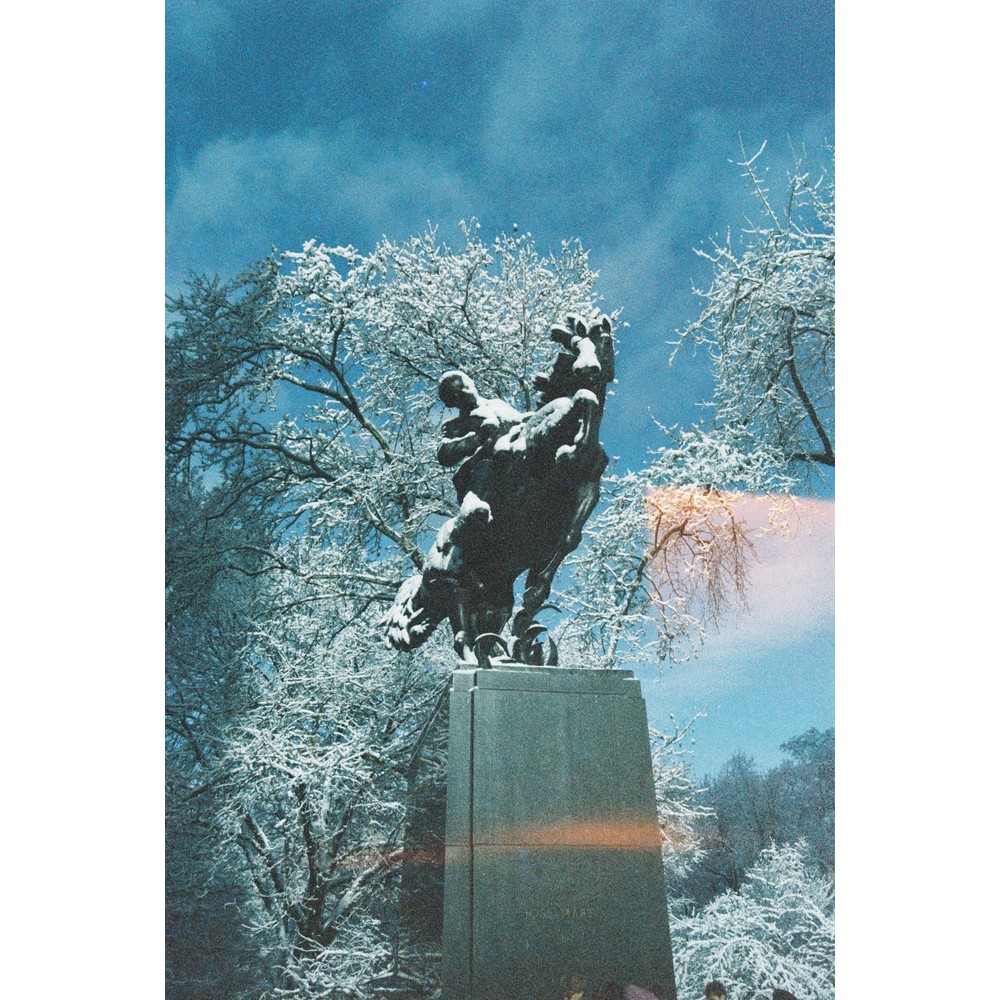 Film photograph 88 from the 2025 portfolio